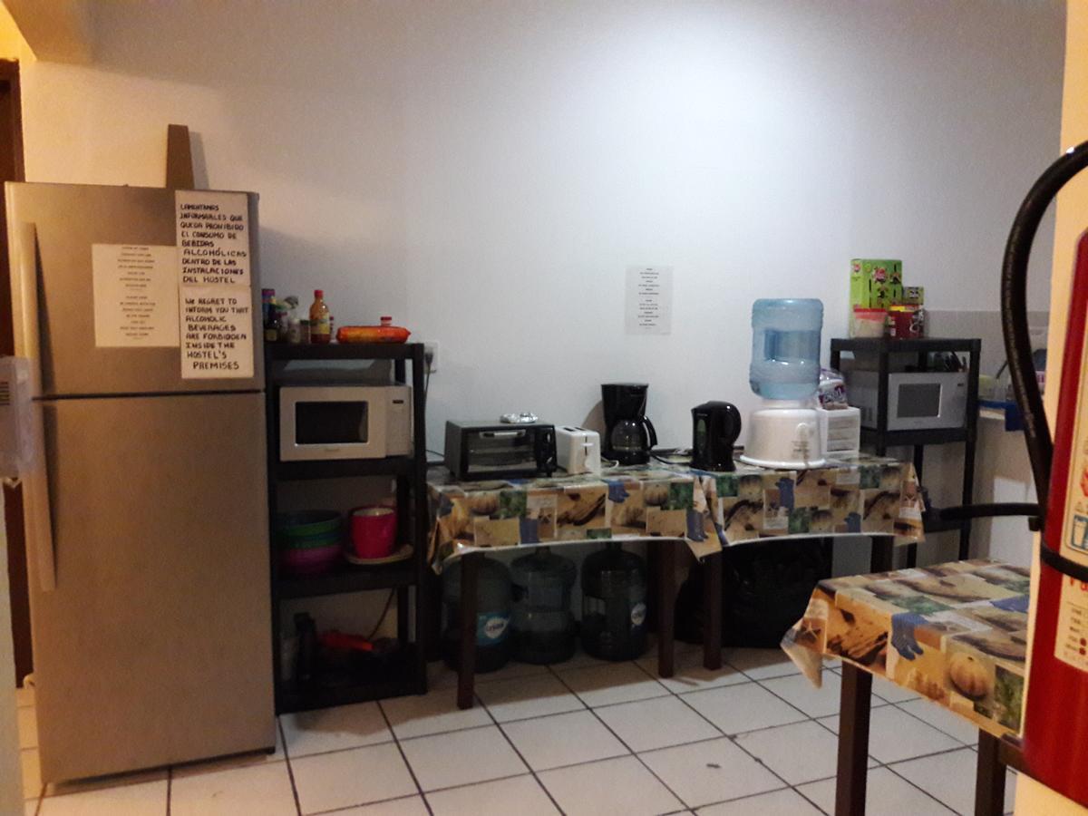 Alme Hostel プレヤデルカーメン エクステリア 写真